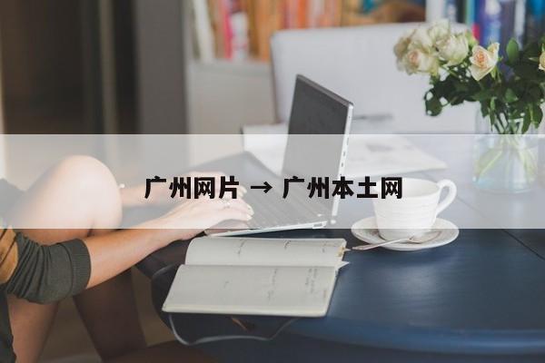 广州网片 → 广州本土网