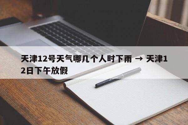 天津12号天气哪几个人时下雨 → 天津12日下午放假