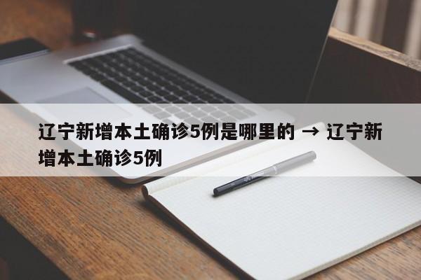 辽宁新增本土确诊5例是哪里的 → 辽宁新增本土确诊5例