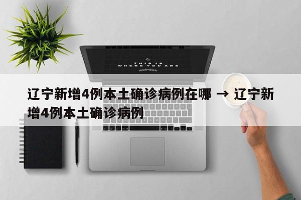 辽宁新增4例本土确诊病例在哪 → 辽宁新增4例本土确诊病例